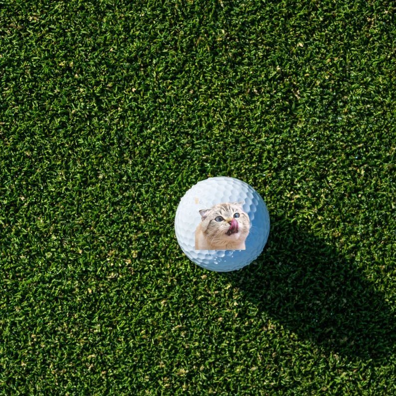 golf ball Custom Pet Golf Ball