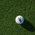 golf ball Custom Pet Golf Ball