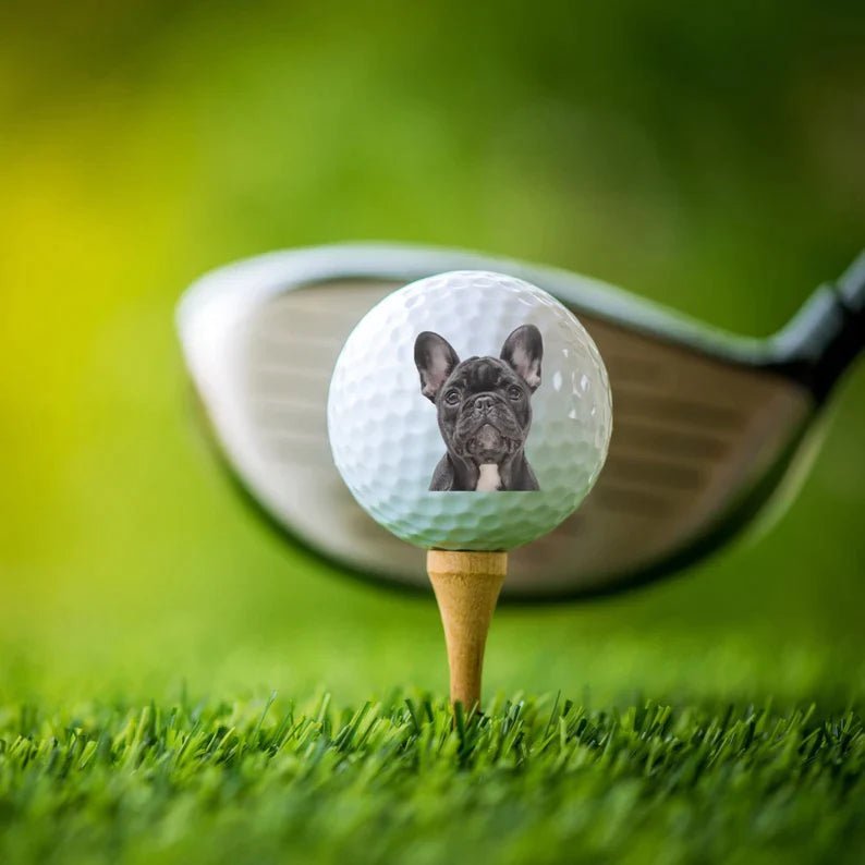 golf ball Custom Pet Golf Ball