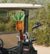 Golf Head Covers Swingers Pineapple Headcover