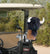 Golf Head Covers Buffalo Golf Headcover